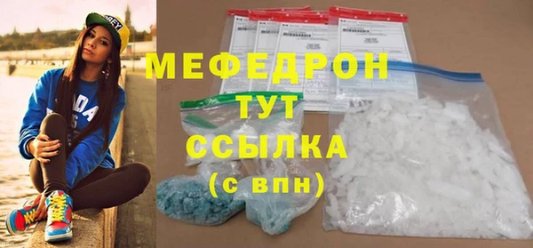 стаф Каменка