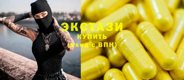 стаф Каменка