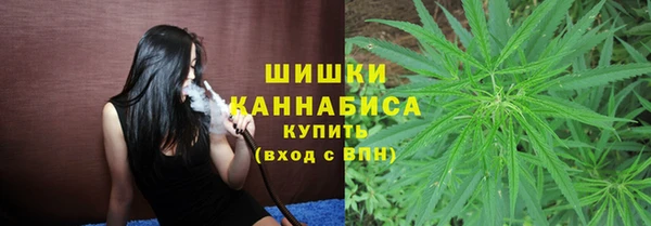 стаф Каменка