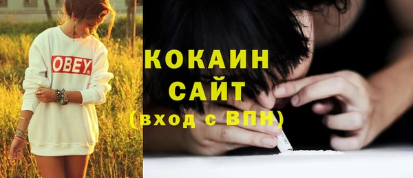 стаф Каменка
