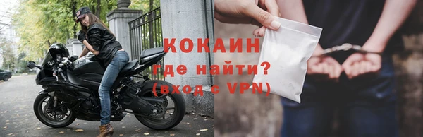 стаф Каменка