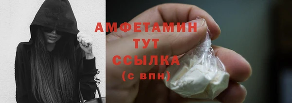 стаф Каменка