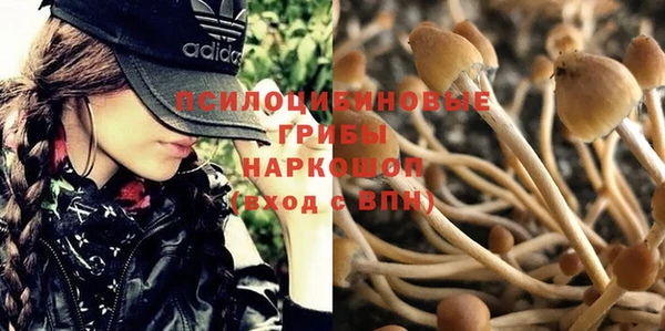 каннабис Каменск-Шахтинский