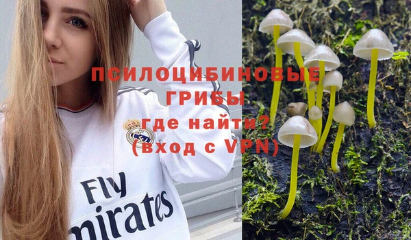 стаф Каменка