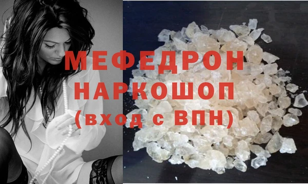 стаф Каменка