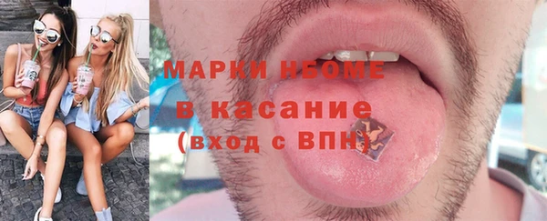 стаф Каменка