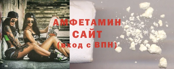 стаф Каменка